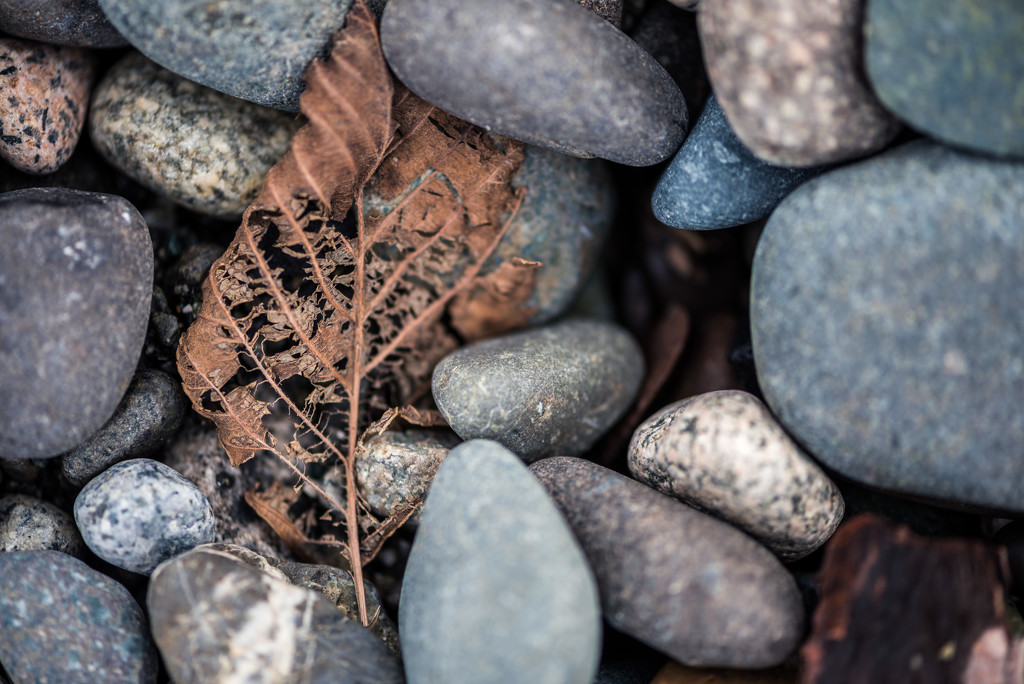 Fall on the Beach by kwind