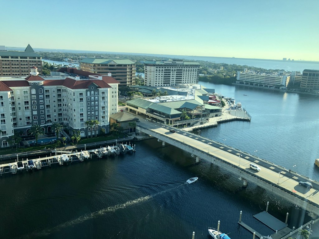 Hello Tampa by graceratliff