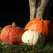 Three Pumpkins by seattlite