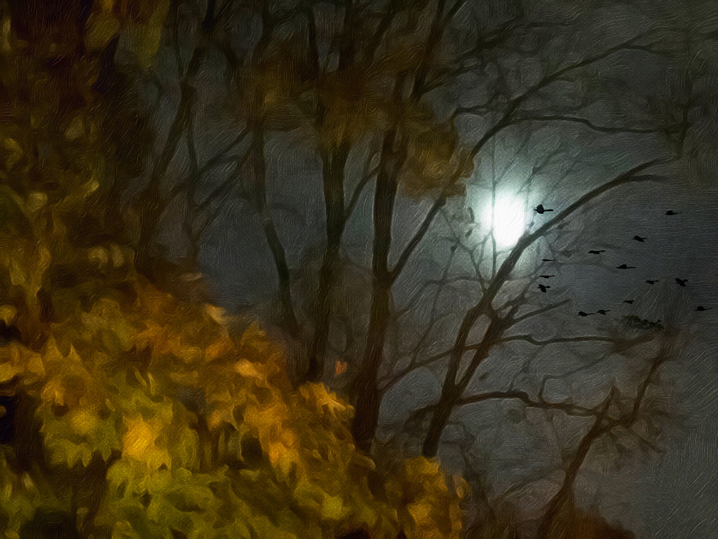 misty spooky moon by jernst1779