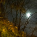 misty spooky moon by jernst1779