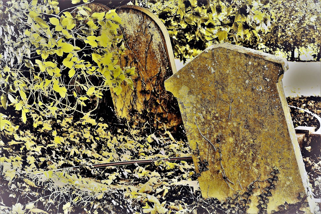 A Spooky Graveyard by carole_sandford