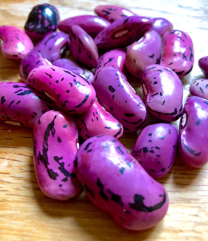 Magic beans... by 365projectdrewpdavies