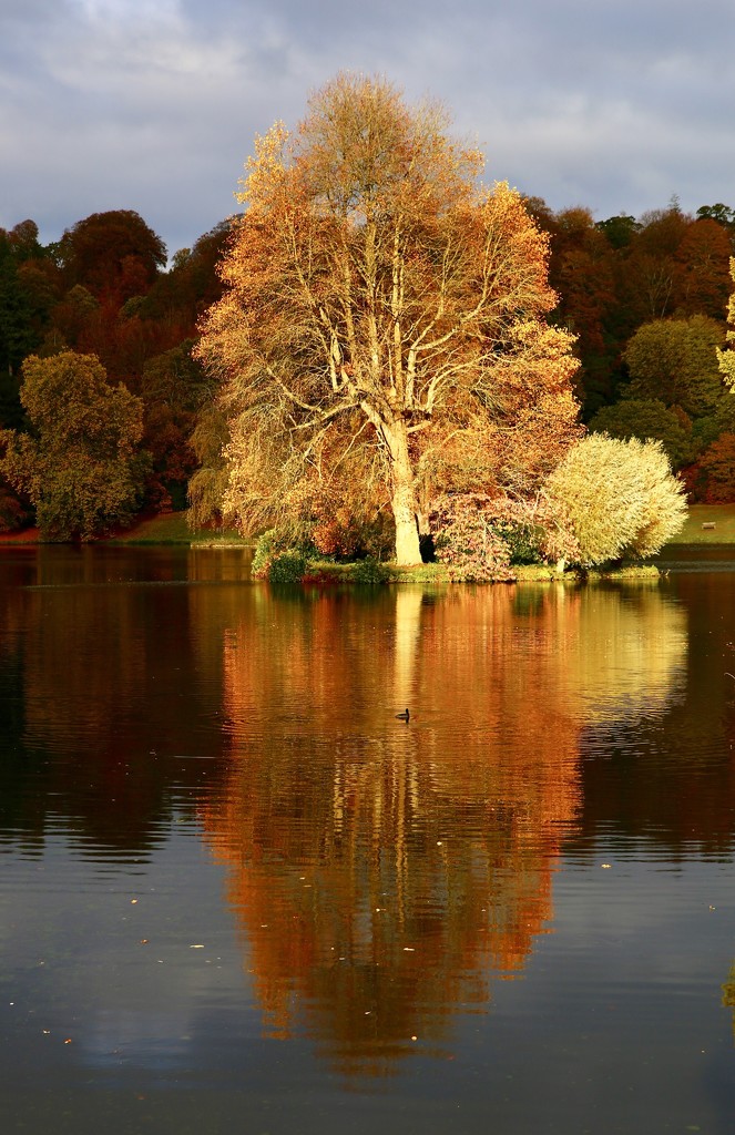 Nature’s Autumn Splendour IV by phil_sandford