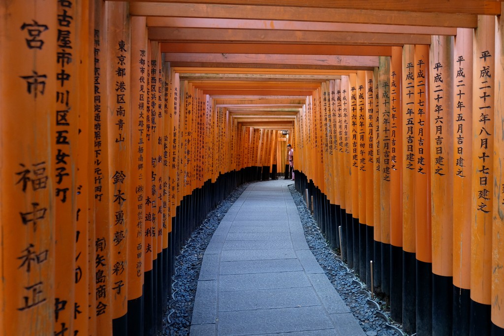 Fushimi Inari Taisha by vincent24