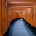 Fushimi Inari Taisha by vincent24