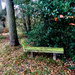 Bench in the woods by frequentframes
