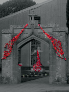 2nd Nov 2018 - Arch of Poppies