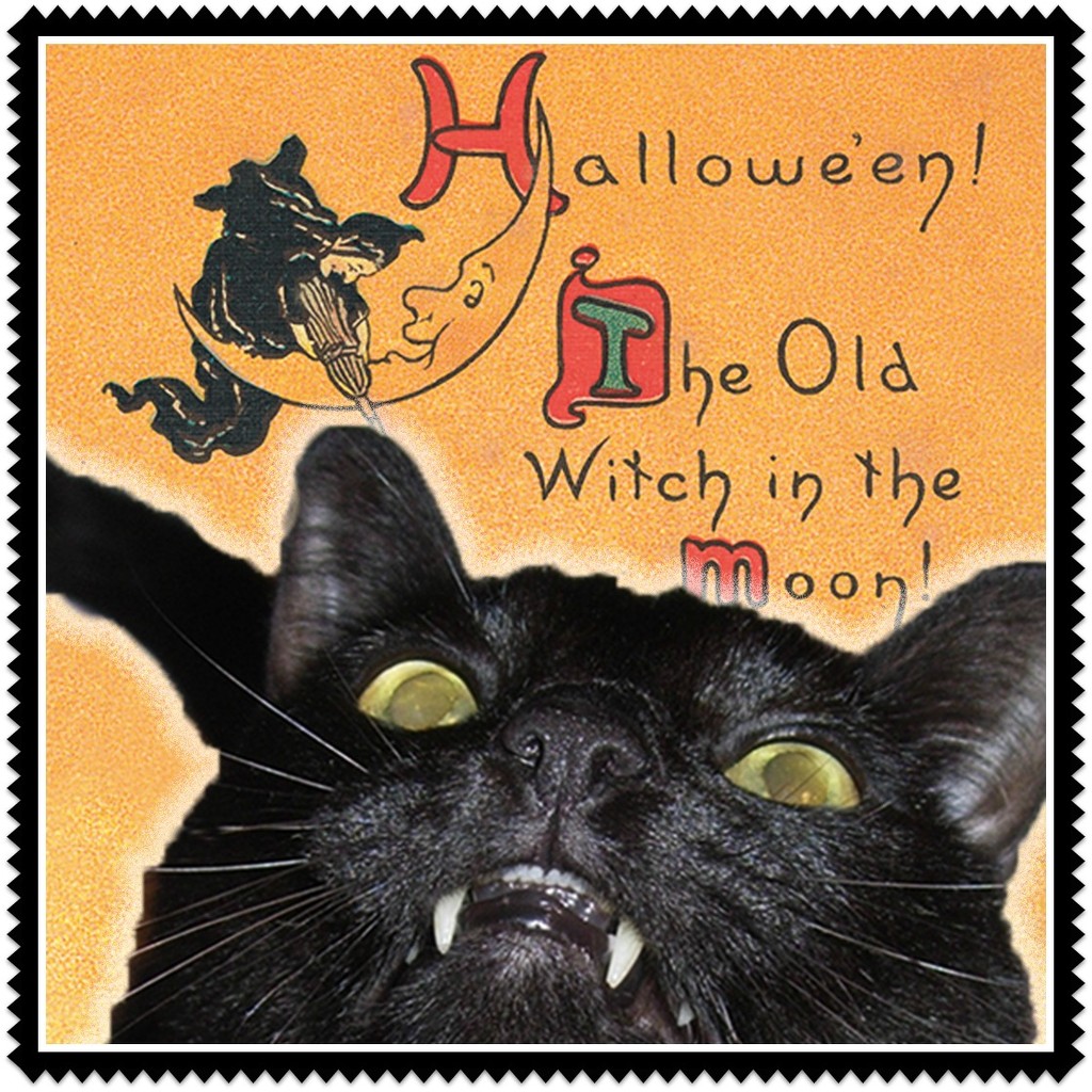 Hallowe'en! The Old Witch & The Black Cat by yogiw