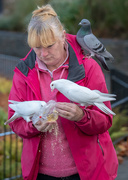2nd Nov 2018 - Feeding the Birds at Windermere