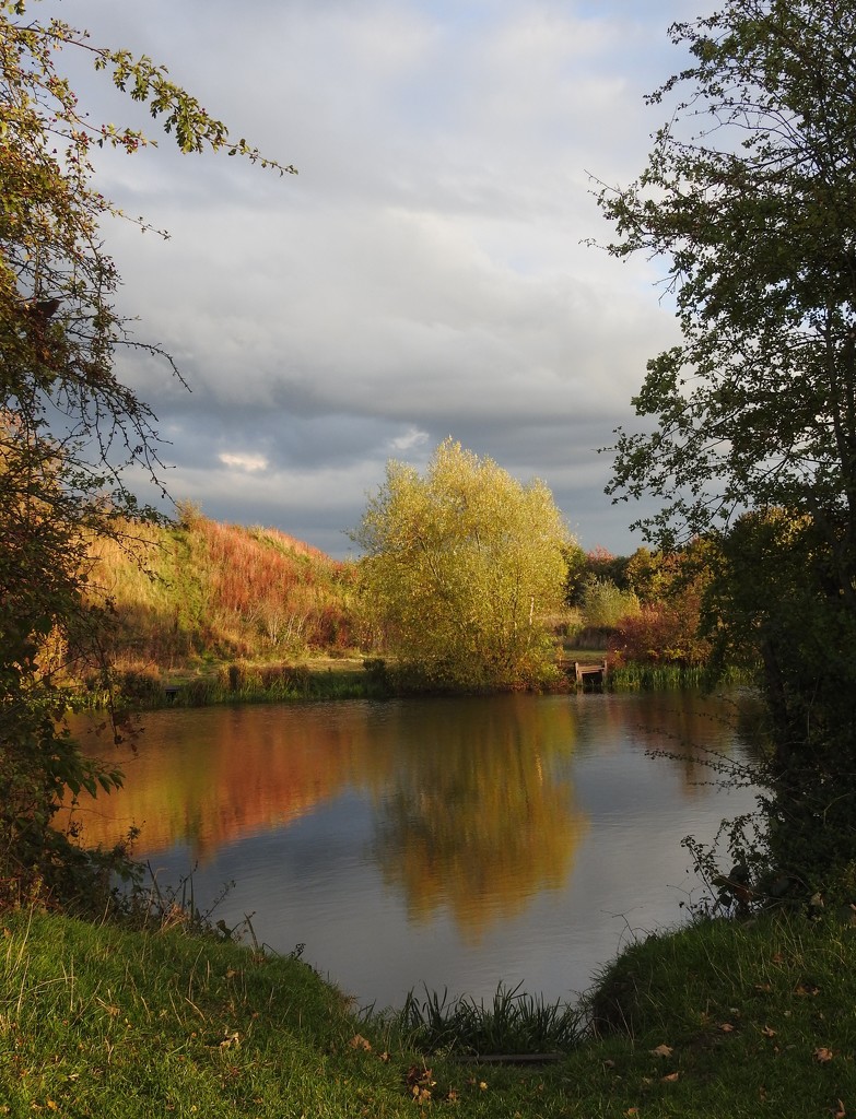 Autumn at Iremongers Pond by oldjosh