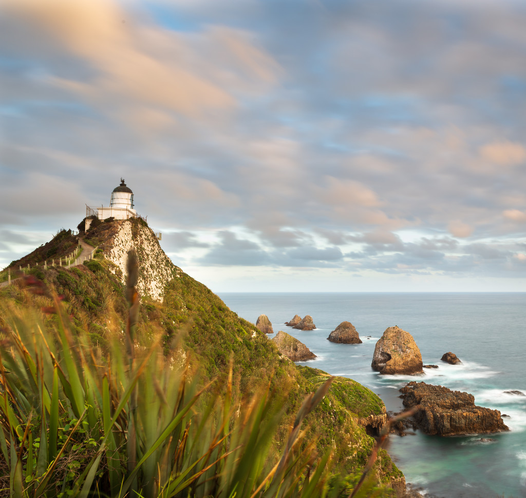 Nugget Point Catlins by yaorenliu
