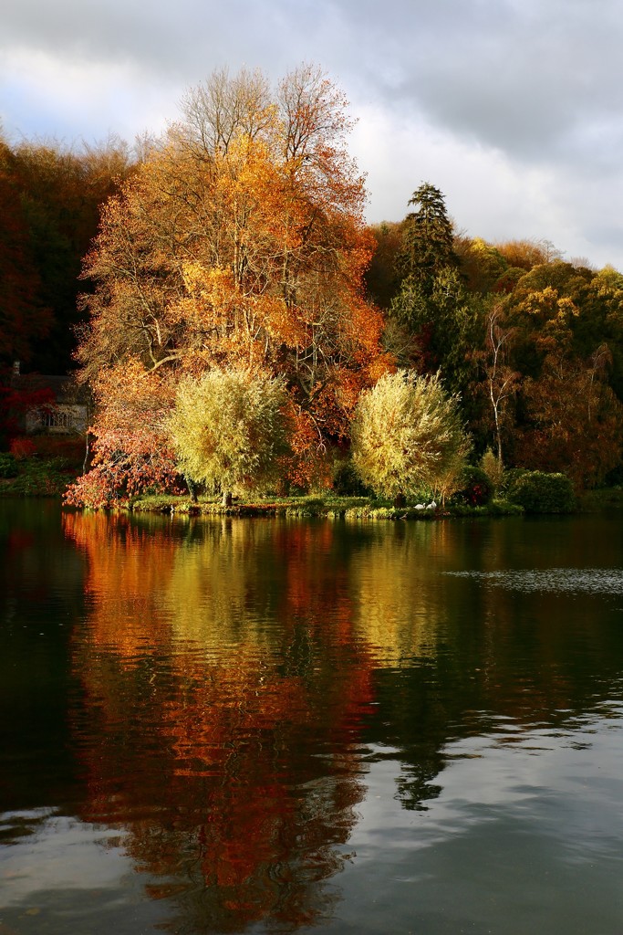 Nature’s Autumn Splendour V by phil_sandford