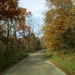 Back Road in Autumn by julie