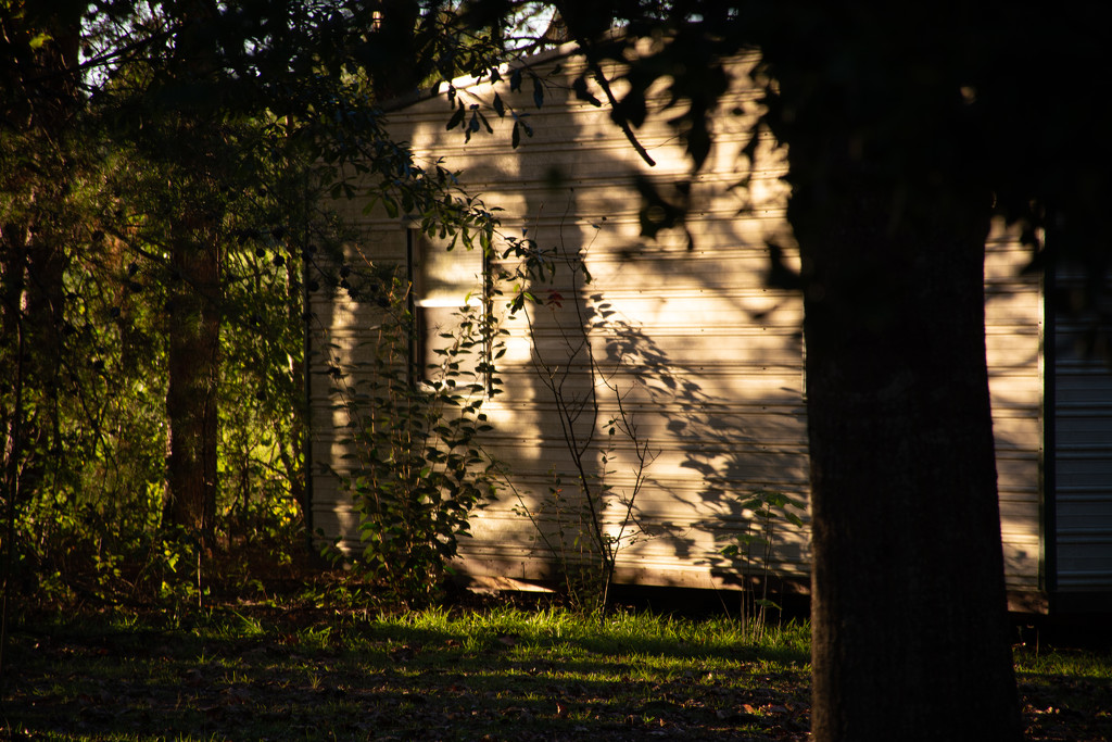 Late afternoon shadows... by thewatersphotos