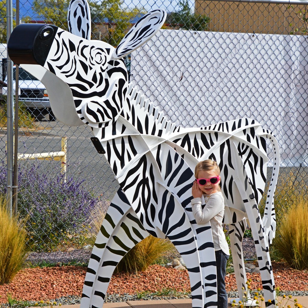 Zebra and Friend by janeandcharlie