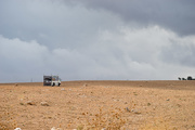 5th Nov 2018 - A truck in the desert 