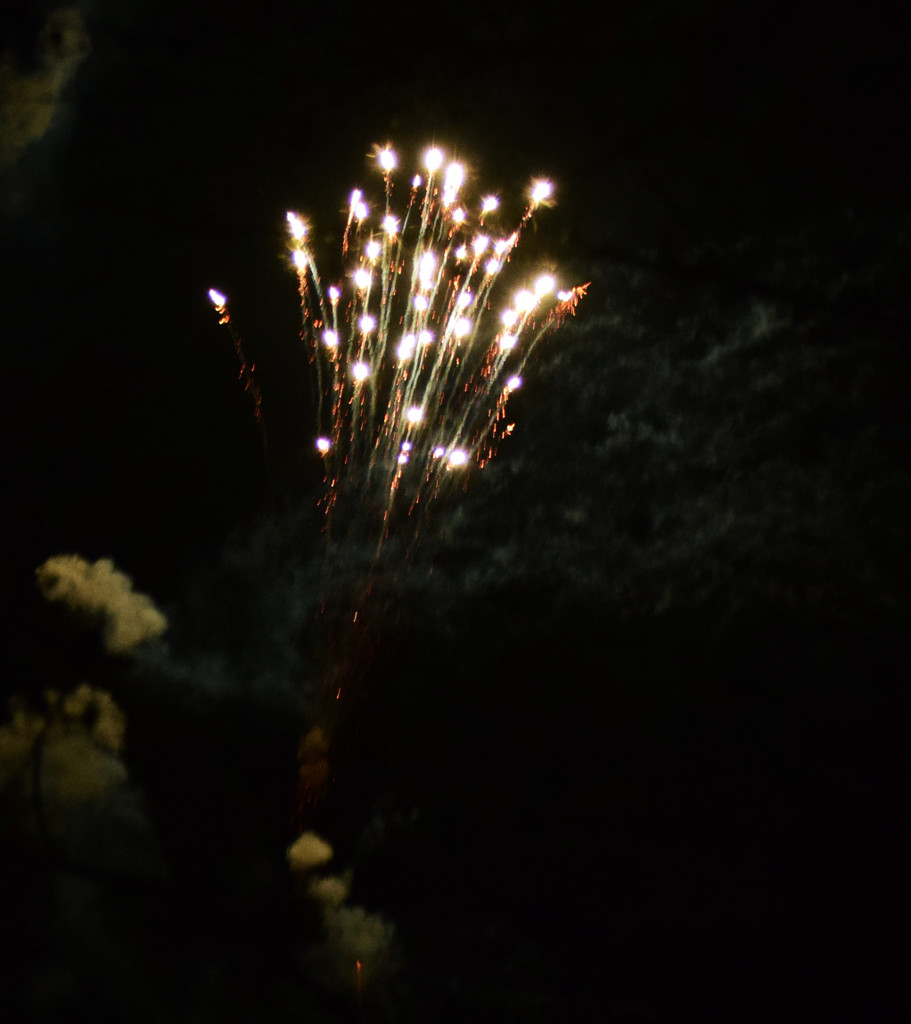 firework night 3 by ianmetcalfe