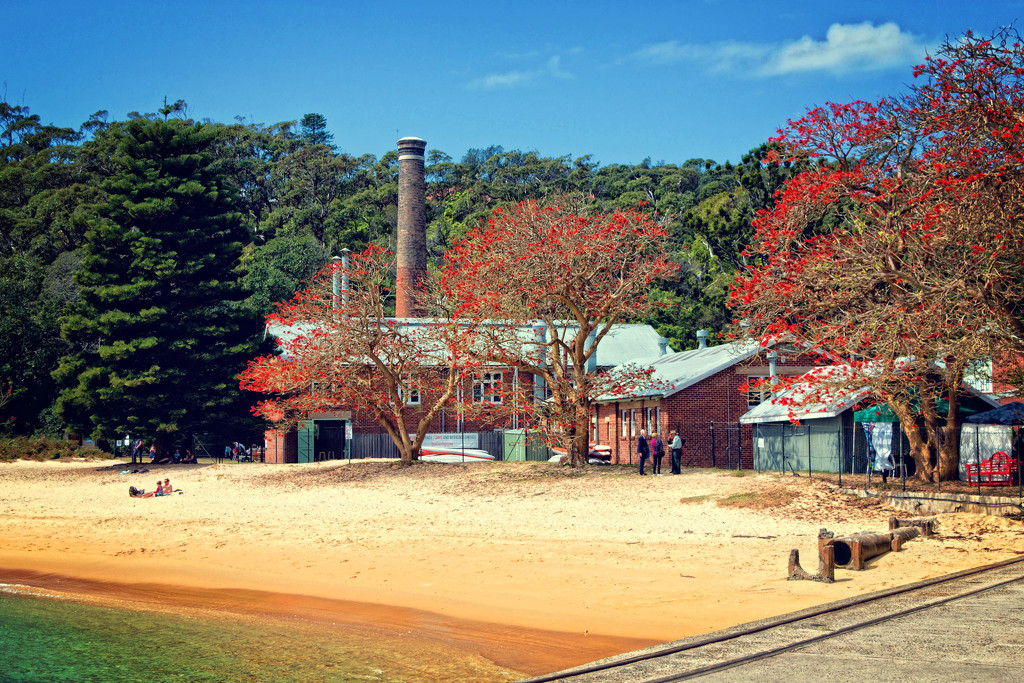 Quarantine Beach Manly by annied