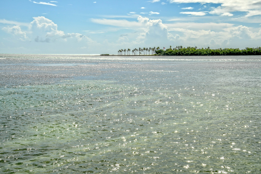 Sparkling water of the Florida Keys by danette