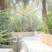 Al Ain Oasis by stefanotrezzi
