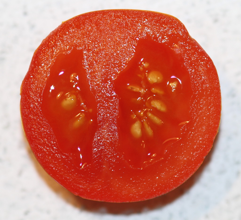 Last Homegrown Tomato of the Year by bagpuss