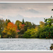 Delapre Park,Across The Lake by carolmw