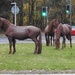 Race Horses?  Roundabout Horses? by oldjosh
