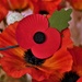 Wear Your Poppy with Pride by carole_sandford
