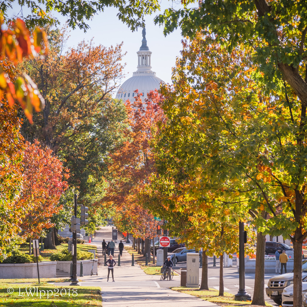  Changes Happening On The Hill by lesip