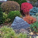 Front Garden by selkie