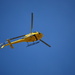 Helicopter over the Bosque. by bigdad