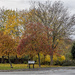 Colours in Sycamore Drive by pcoulson