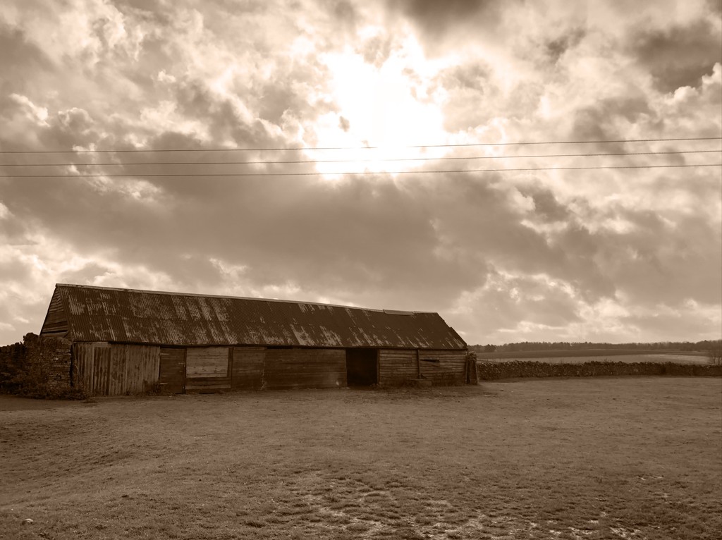 Sepia stables by 365projectdrewpdavies
