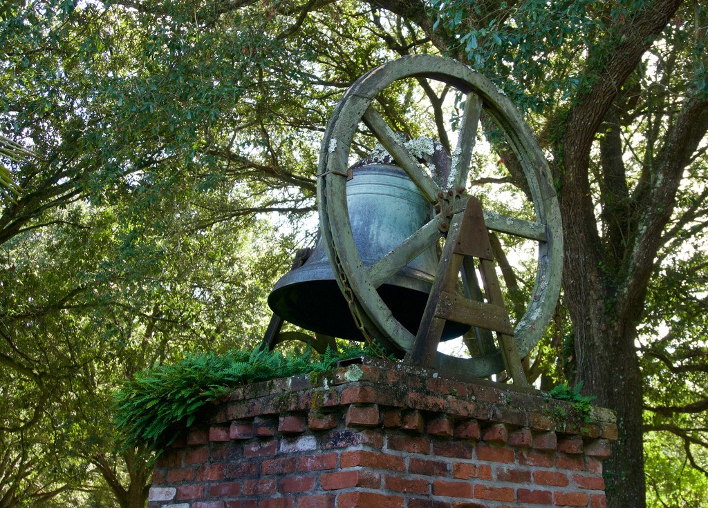 Plantation Bell by eudora