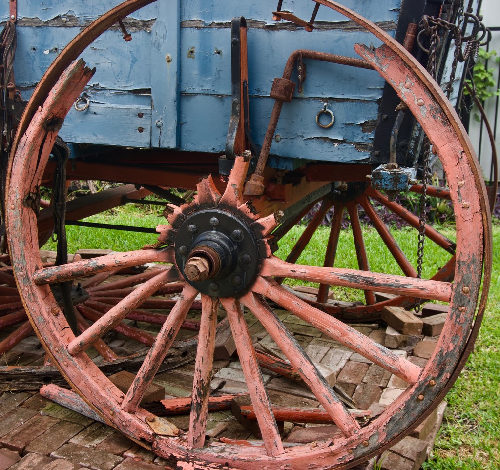 Wagon wheel by eudora