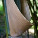 Bamboo Blues by eudora