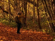 8th Nov 2018 - Species:  Photographer, often seen in the woods in autumn.