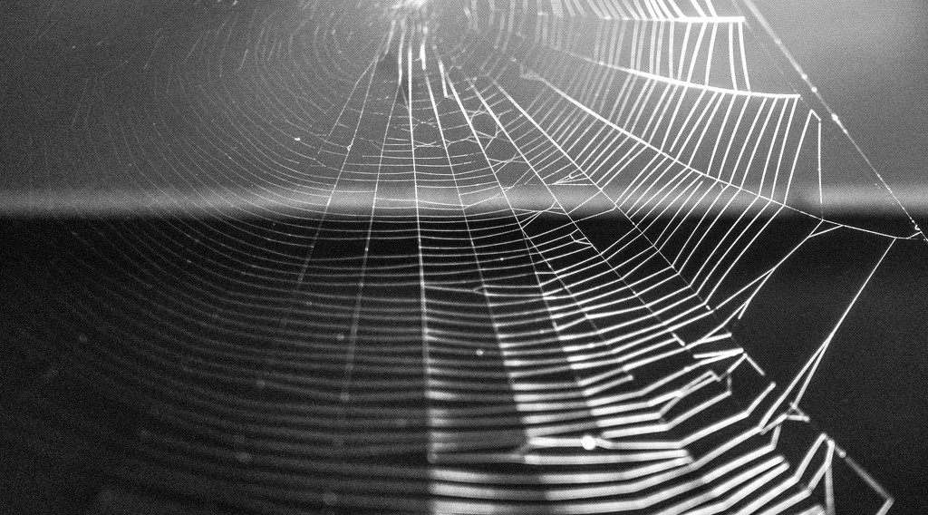Spider web geometry by cristinaledesma33