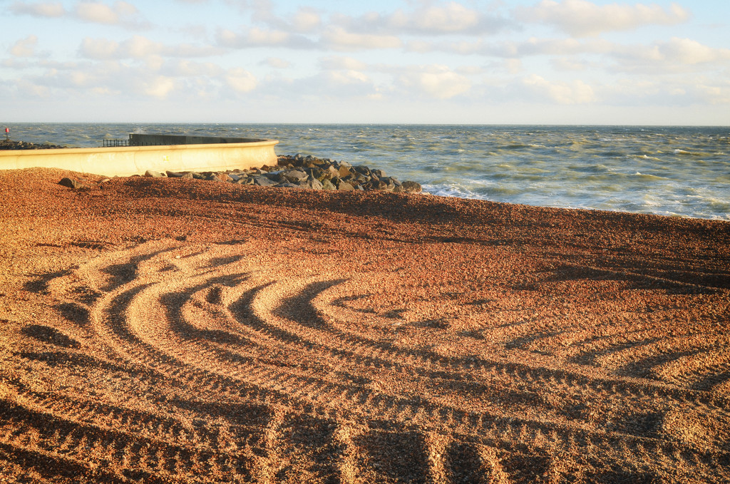 Tracks in the Shingle by fbailey