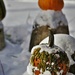 Pumpkins in the Snow! by radiogirl