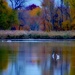 Autumn Calm by lynnz