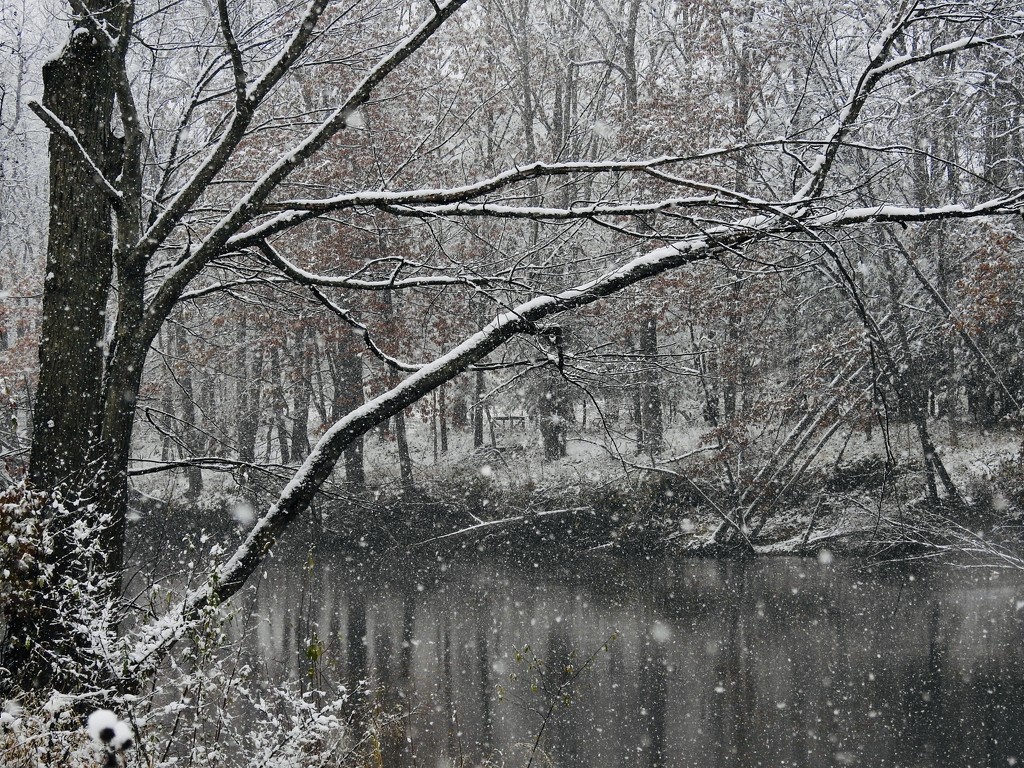 Snow along the river by amyk