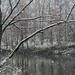 Snow along the river by amyk