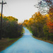 Lovely Fall Roads by judyc57