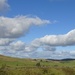 Dartmoor by arthurclark