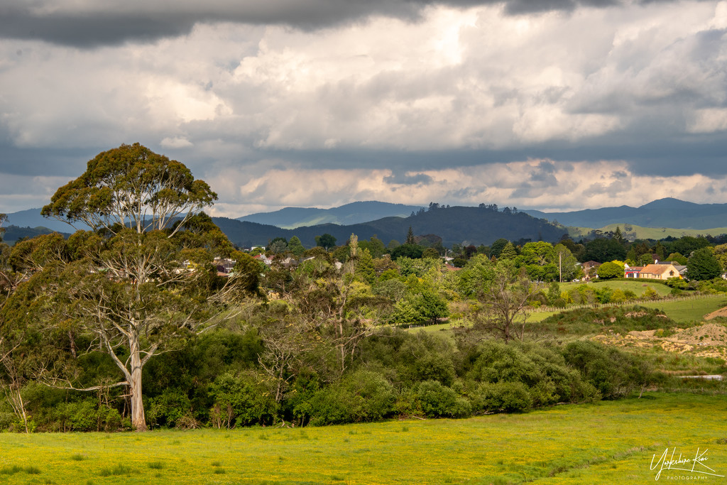 Scenic by yorkshirekiwi