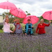 Ladies in Lavender by gilbertwood