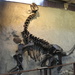 Dinosaur National Monument. by hellie
