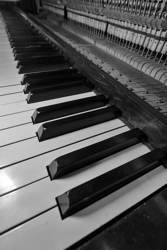 Piano keys by rumpelstiltskin